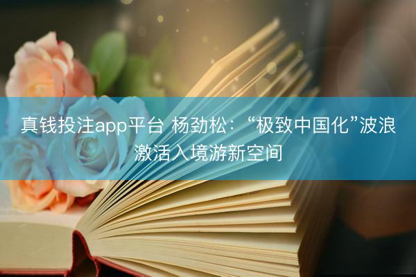 真钱投注app平台 杨劲松：“极致中国化”波浪激活入境游新空间