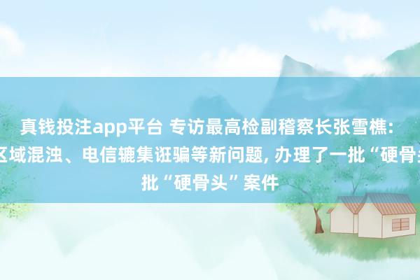 真钱投注app平台 专访最高检副稽察长张雪樵: 围绕跨区域混浊、电信辘集诳骗等新问题, 办理了一批“硬骨头”案件