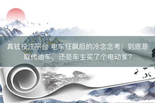 真钱投注平台 电车狂飙后的冷念念考：到底是取代油车，还是车主买了个电动爹?