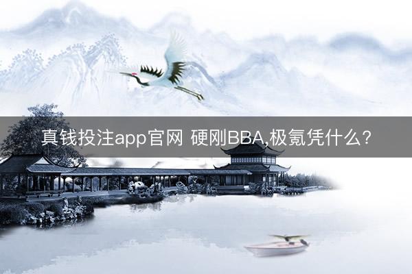 真钱投注app官网 硬刚BBA,极氪凭什么?